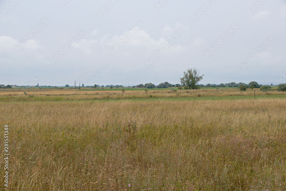 Landscape shot in the national park Neusiedler See in Illmitz Burgenland Landscape shot in the national park Neusiedler See in Illmitz Burgenland