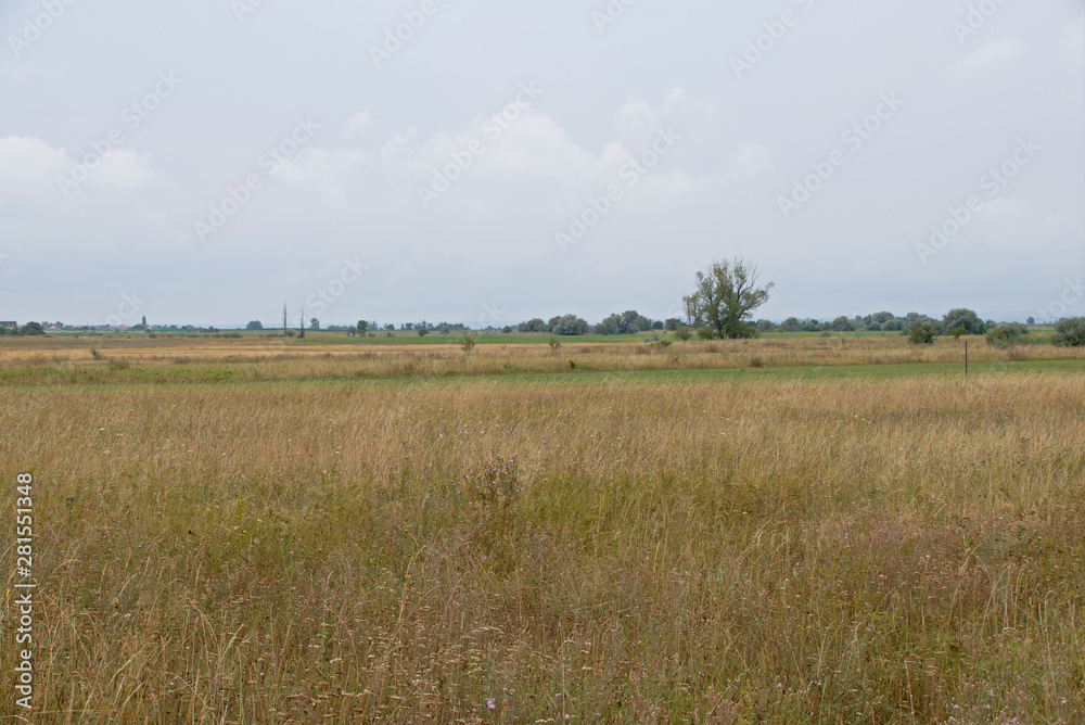 Landscape shot in the national park Neusiedler See in Illmitz Burgenland