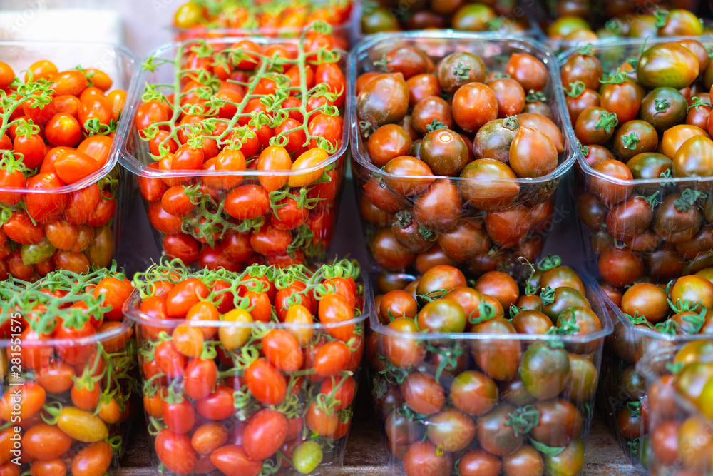Bulk tomatoes for sale