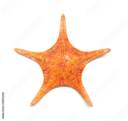 top of a dry starfish as chinese medicine