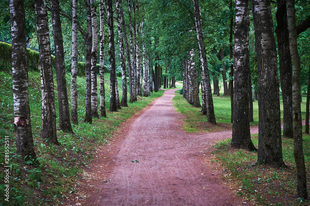 Obraz premium Дорожка в парке