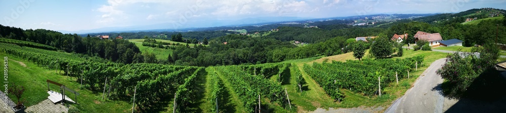 Steiermark Österreich Landschaft im Sommer