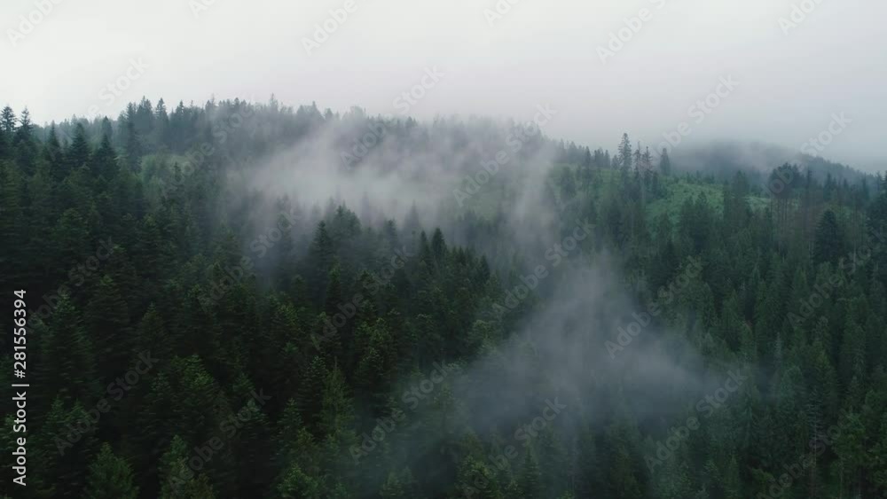 Aerial drone footage of forest mist