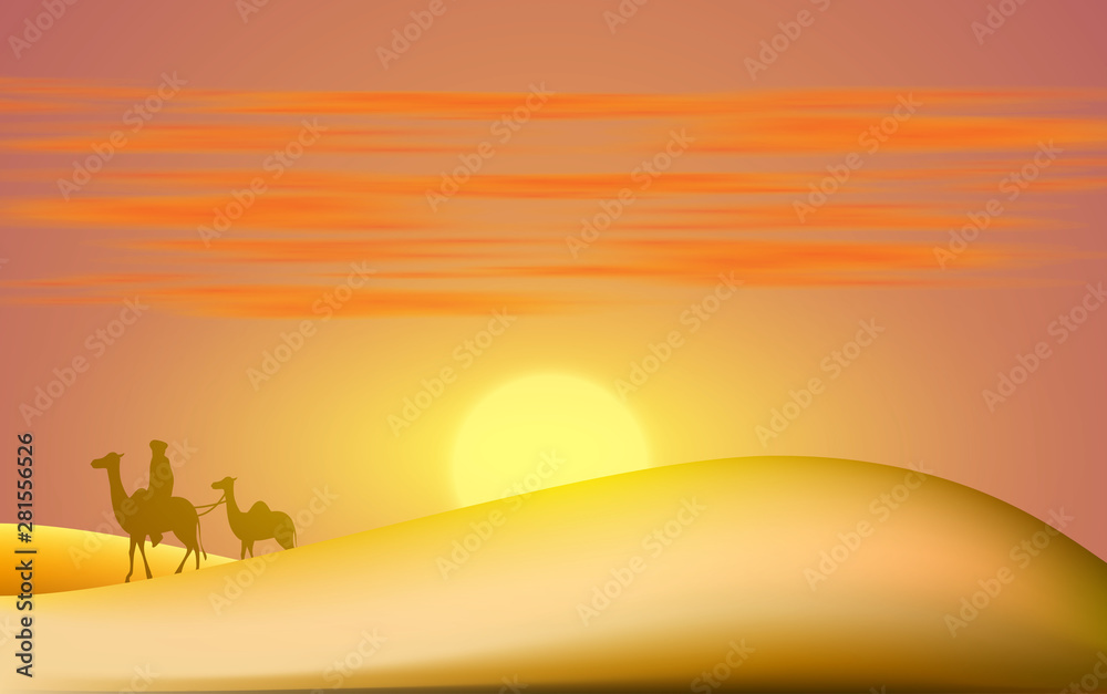 landscape of the desert in sunset