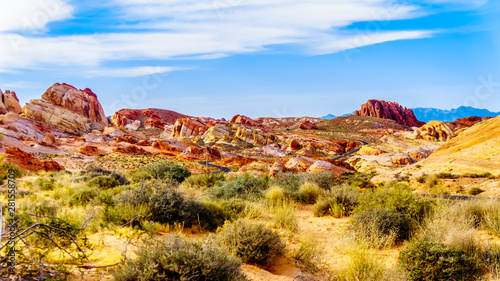 The White Dome Road winds through the colorful red, yellow and white sandstone rock formations in the Valley of Fire State Park in Nevada, USA