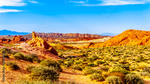 The colorful red, yellow and white sandstone rock formations along the White Dome Trail in the Valley of Fire State Park in Nevada, USA