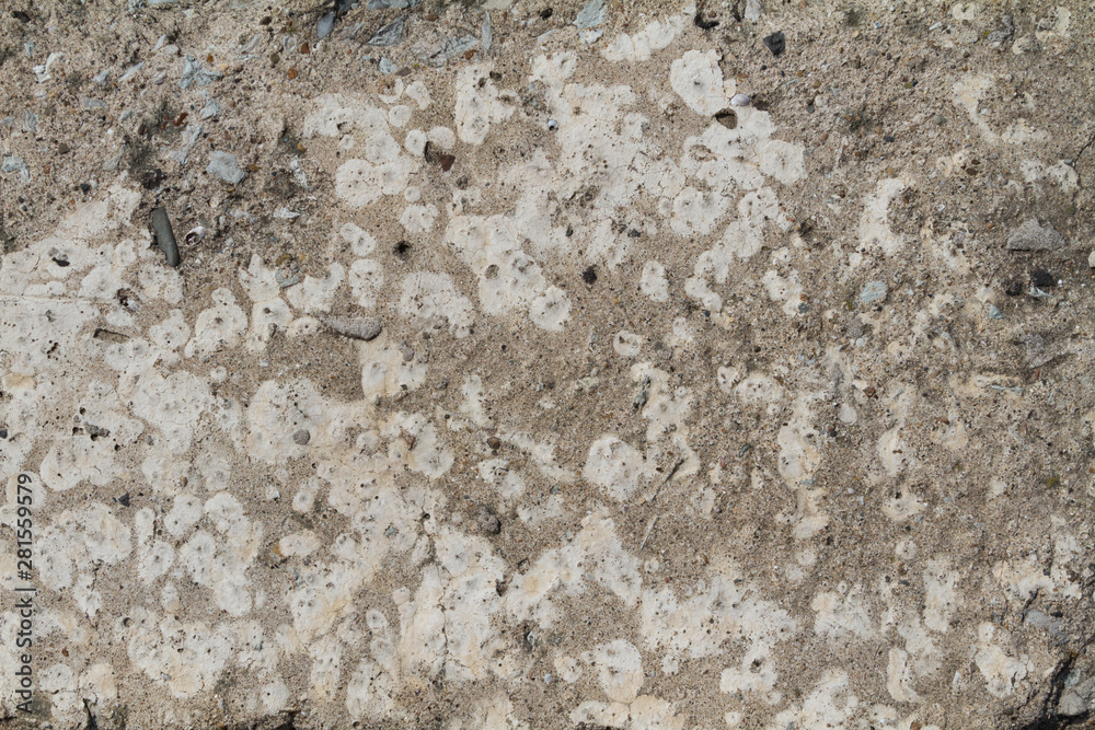 texture of stone wall texture of stone wall