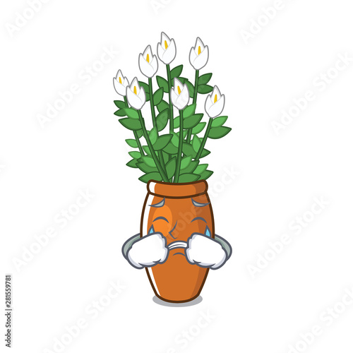 Crying peace lily with the character shape