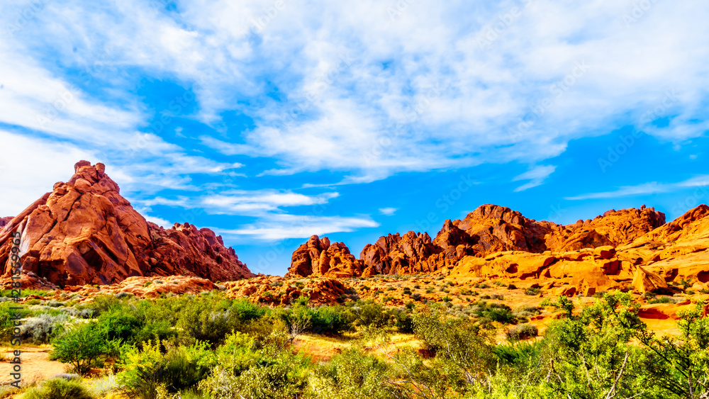 Red Aztec Sandstone Mountains under Blue Sky at the Mouse's Tank Trail in the Valley of Fire State Park in Nevada, USA