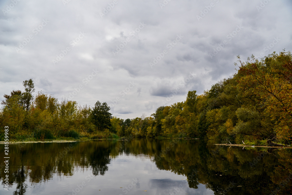 Fototapeta premium lake in forest