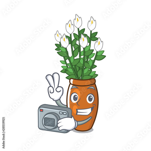 Photographer peace lily with the character shape