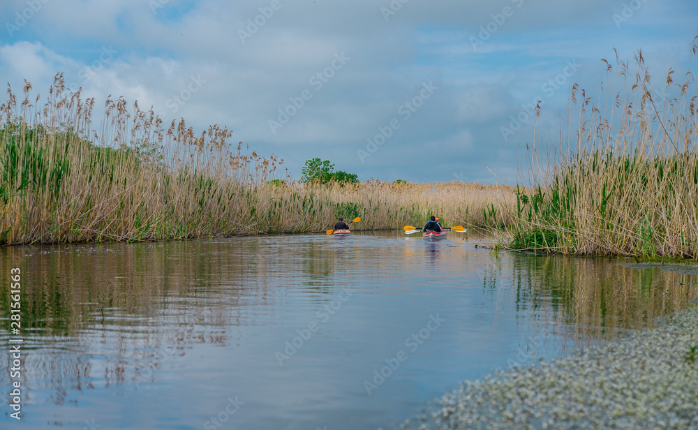 landscape with lake and forest and kayak