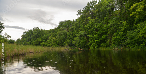 lake in forest