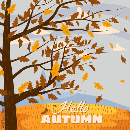 Autumn landscape, Hello autumn fall tree with falling yellow leaves