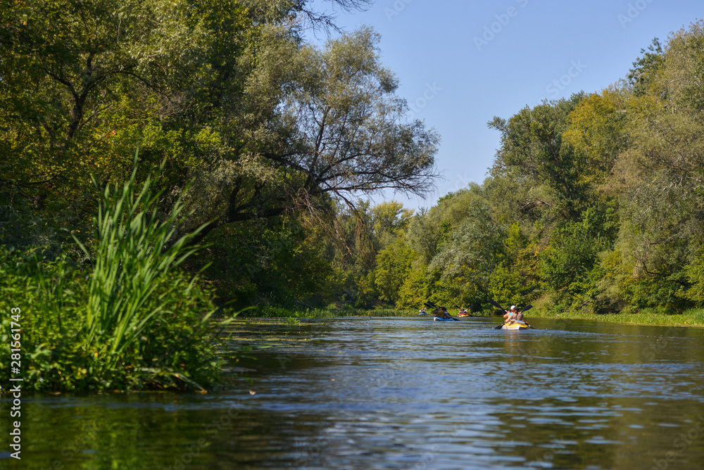 kayak on the river