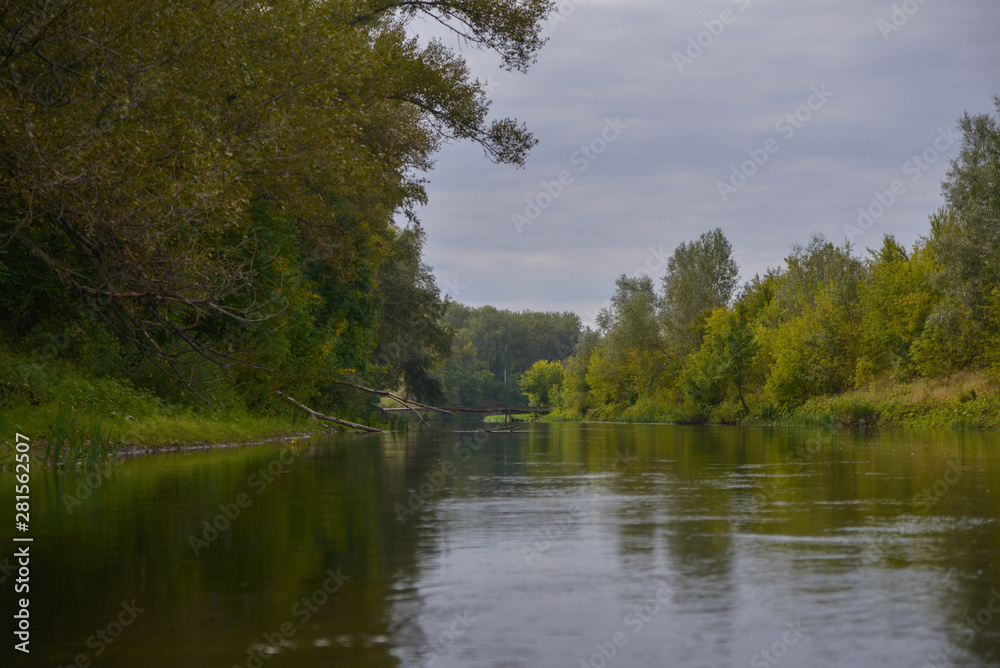 Fototapeta premium lake in the forest