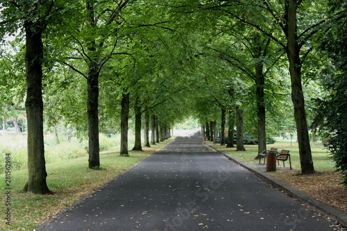 Parkallee im Kurpark von Bad Nauheim 