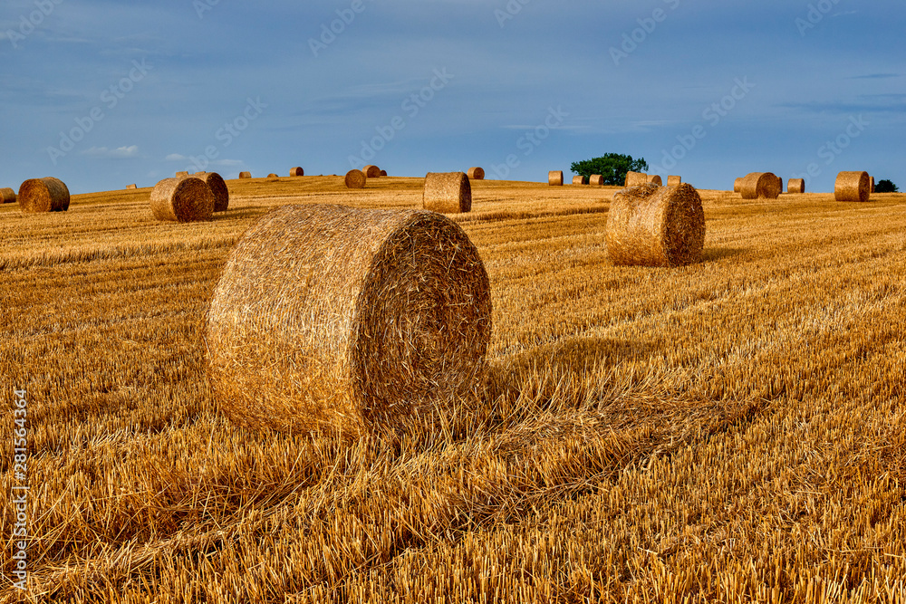 Agriculture, landscape after harvest, straw bales in the foreground, Poland