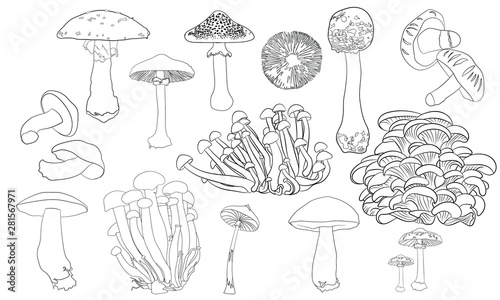 Quadro em tela Line drawing mushroom illustration vector outline set collection