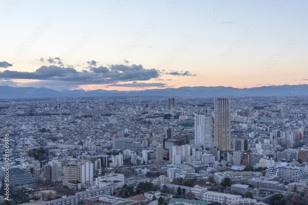 Fototapeta premium 東京 都市景観