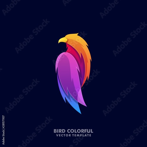 Abstract Eagle Colorful Illustration Logo Template