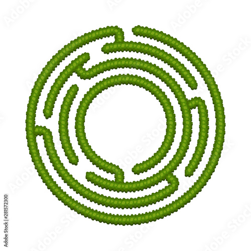 Education logic game bush labyrinth for kids. Find right way. Isolated simple round maze on white background.