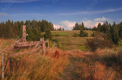 Fototapeta Naklejka Na Ścianę i Meble -  Warm summer landscape on a mountain