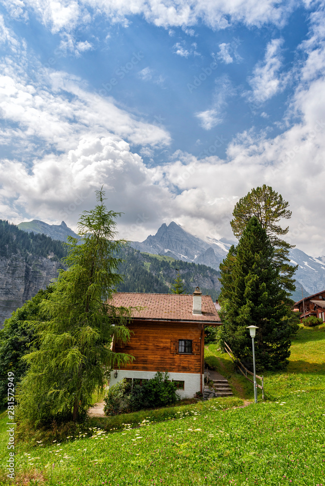 Swiss Mountain Cabin - Alps View 