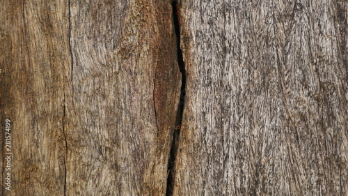 100 year old wood background