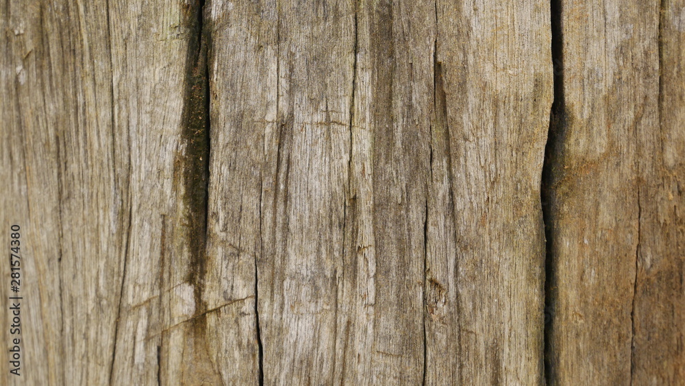 100 year old wood texture background