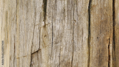 100 year old wooden board texture background