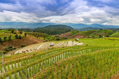 Pa Bong Piang Rice Terraces in the rainy season, Chaingmai, Thailand