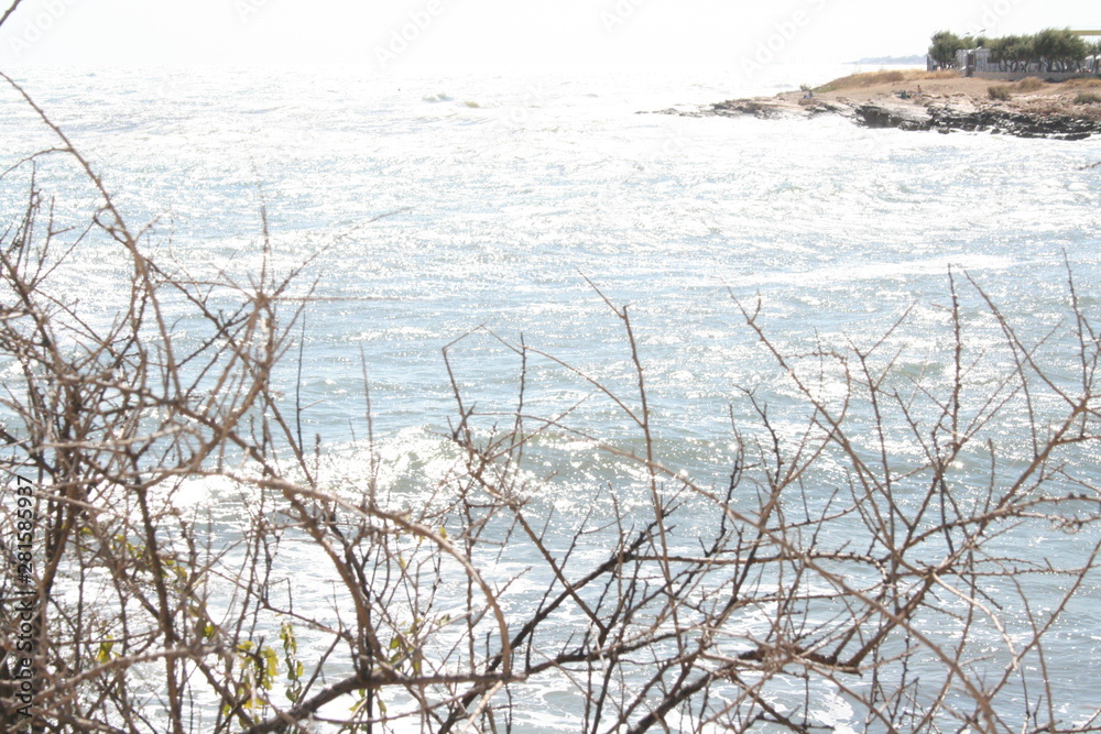 Fototapeta premium around Gargano