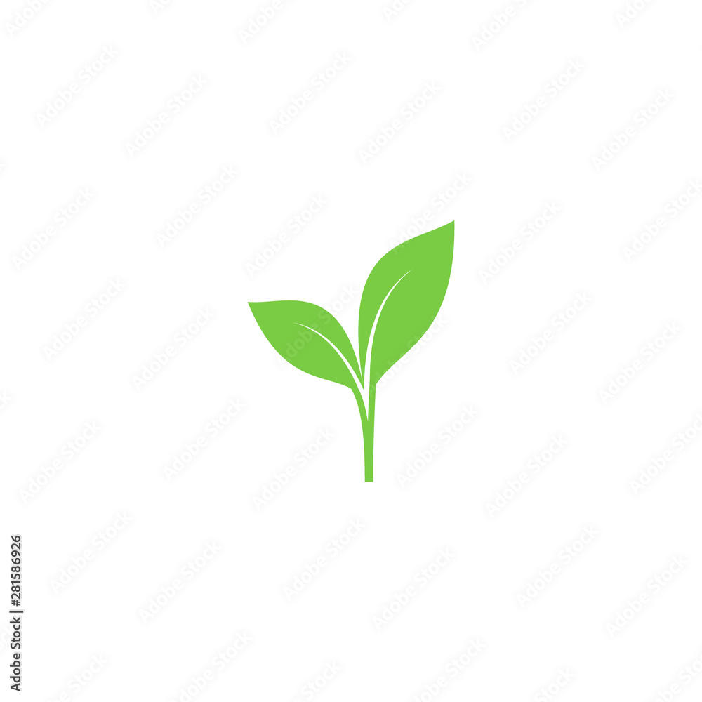 Young sprout green vector icon. Sprout with leaves simple plant symbol.