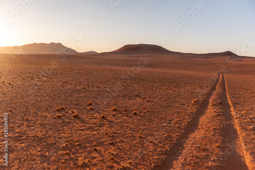 The tracks of a safari vehicle accentuated by the early morning light. Khomas region  Central Namibia.