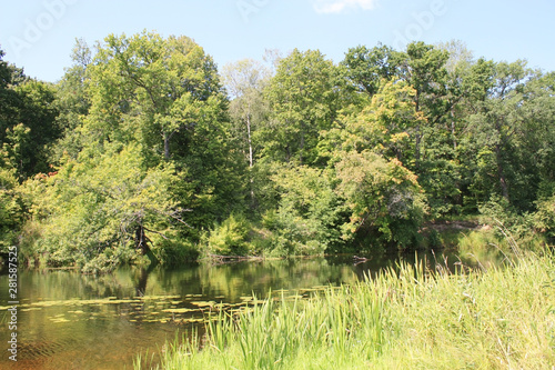 Beautiful summer landscape with river