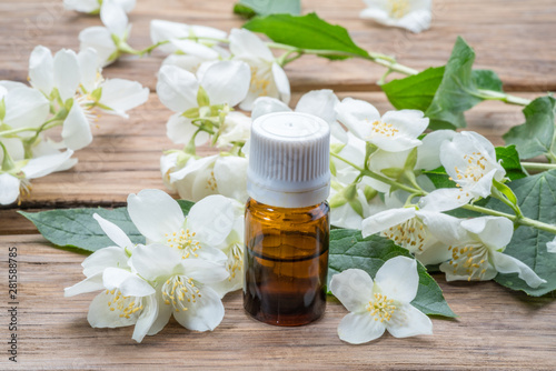 Tender jasmine flowers and jasmine oil close-up on wooden background.