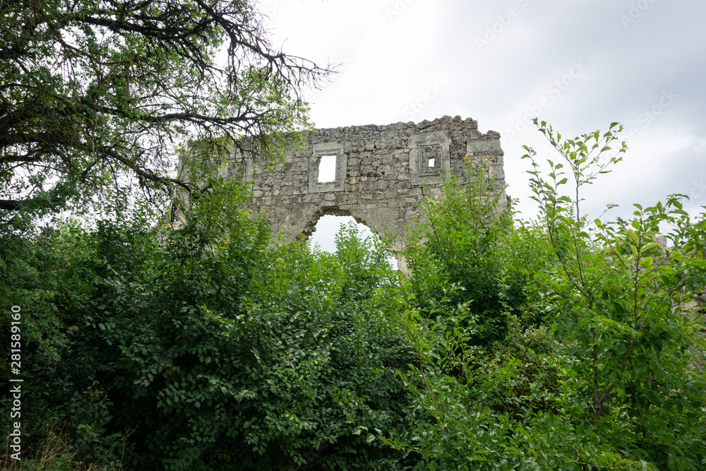 the ruins of a medieval civilization lost and forgotten in the wild southern forests