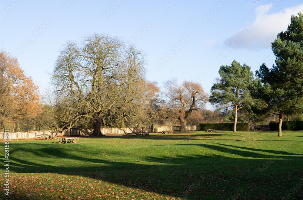 gardens and estate of packwood house warwickshire england uk
