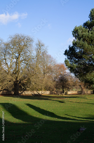 Fototapeta Naklejka Na Ścianę i Meble -  gardens and estate of packwood house warwickshire england uk