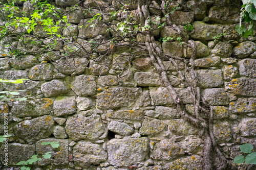 texture wall of a medieval fortress wall