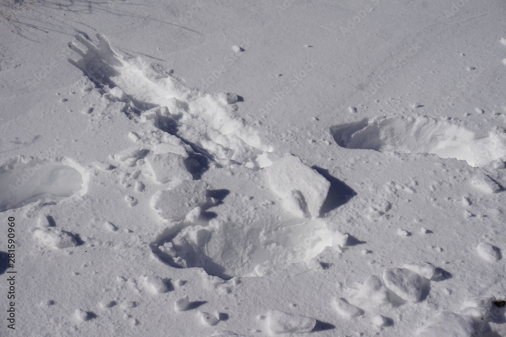 Remarkable ski field heavy snow thick layer on top mountain people ski with snowboard and lift beautiful vacation winter time extremely cold mountain range Otago Remarkable ski field heavy snow thick layer on top mountain people ski with snowboard and lift beautiful vacation winter time extremely cold mountain range Otago