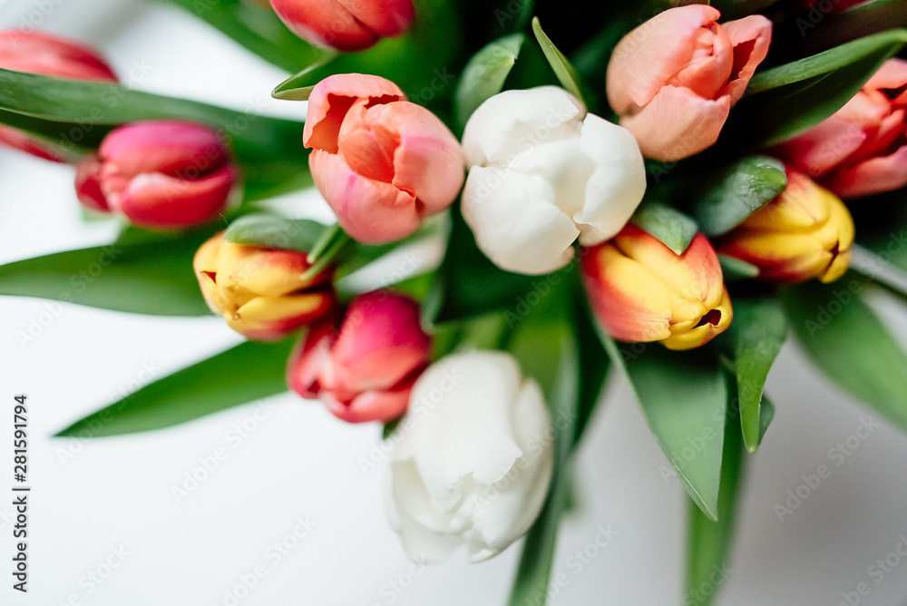 bouquet of tulips on a white background bouquet of tulips on a white background