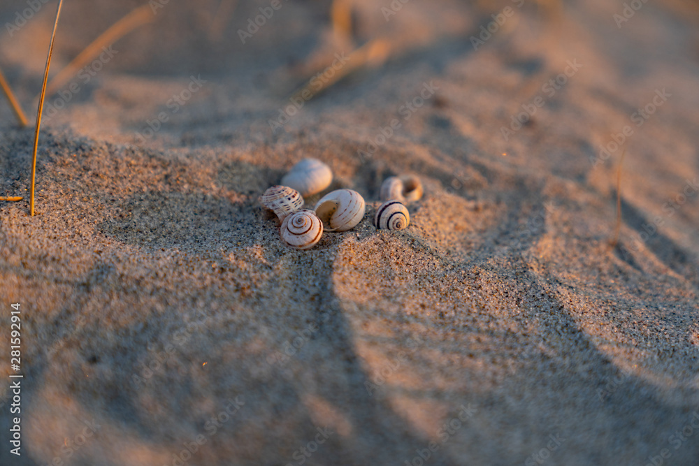 Sommer, Sonne, Urlaub Sommer, Sonne, Urlaub