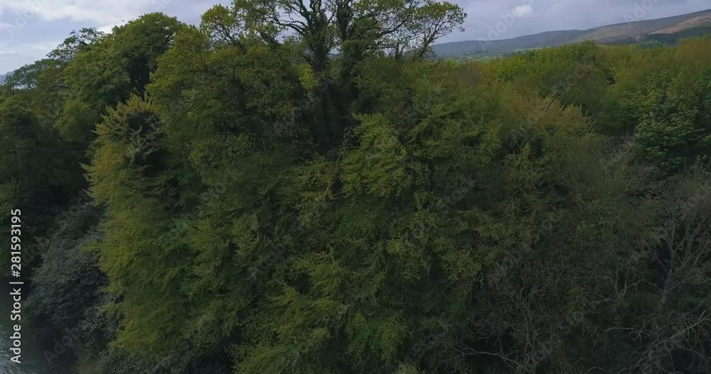 Aerial reveal shot over a beautiful scenic forrest. Aerial reveal shot over a beautiful scenic forrest.