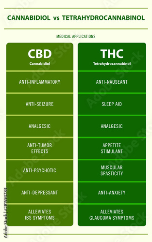 CBD vs THC Medical Applications vertical infographic illustration about cannabis as herbal alternative medicine and chemical therapy, healthcare and medical science vector.