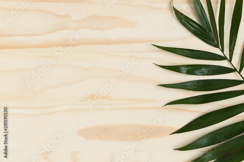 Palm leaf on a wooden table...