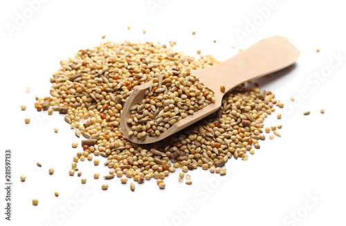 Mixed bird seeds, millet pile with wooden spoon isolated on white background