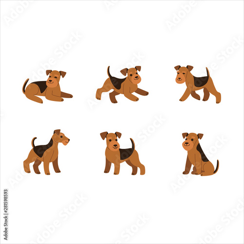 Airedale terrier icon set. Different type of  airedale terrier. Vector illustration for prints, clothing, packaging, stickers, stickers.