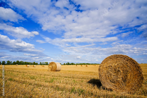 Summer landscape. Harvest field with straw bales in summer.